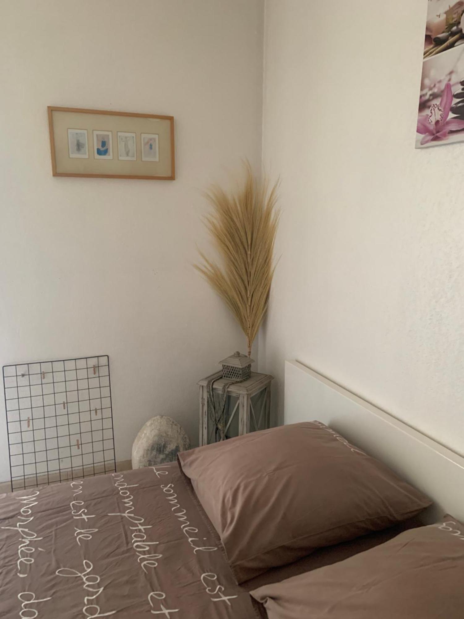 شقة Votre Sejour Cosy A Frejus! المظهر الخارجي الصورة